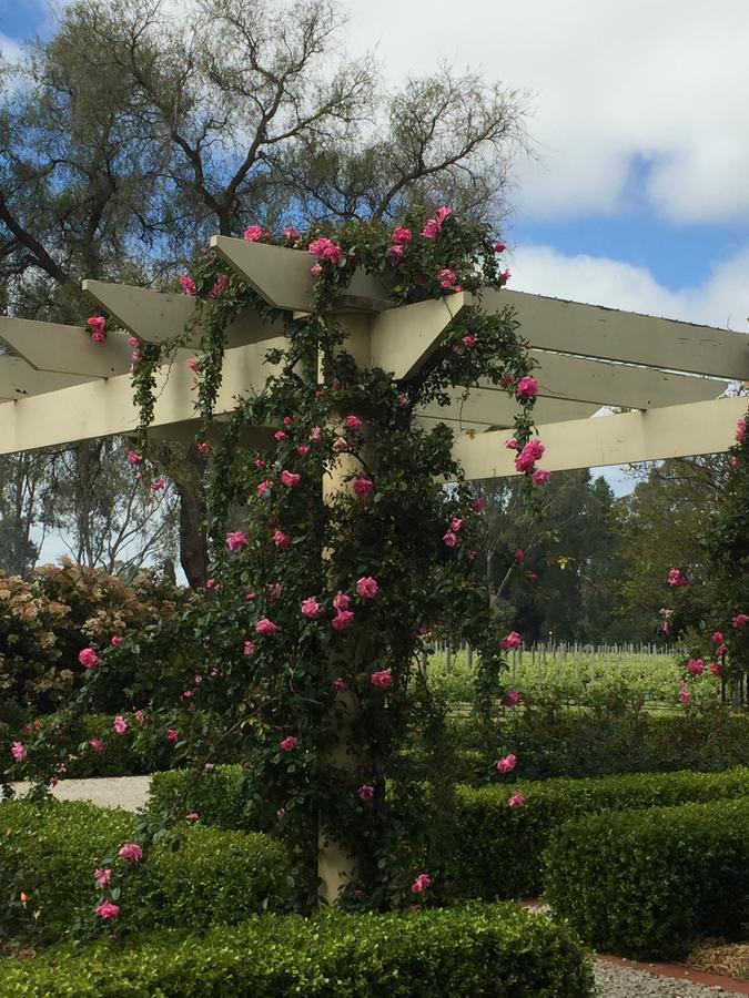 Barossa House Bed & Breakfast Tanunda Luaran gambar