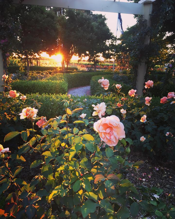 Barossa House Bed & Breakfast Tanunda Luaran gambar