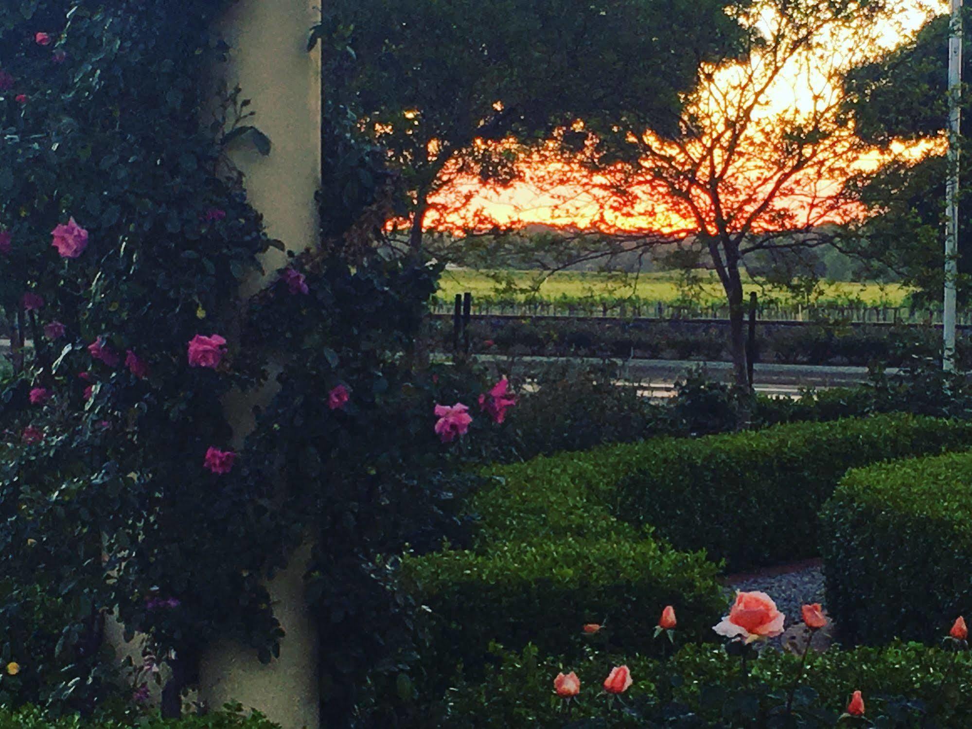 Barossa House Bed & Breakfast Tanunda Luaran gambar