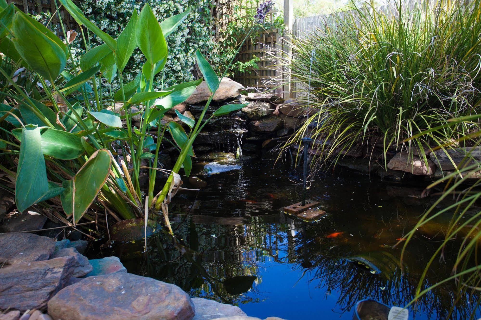 Barossa House Bed & Breakfast Tanunda Luaran gambar